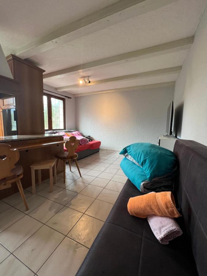 Tiny Apartment With Amazing View, Garden & Terras Schattdorf Dış mekan fotoğraf