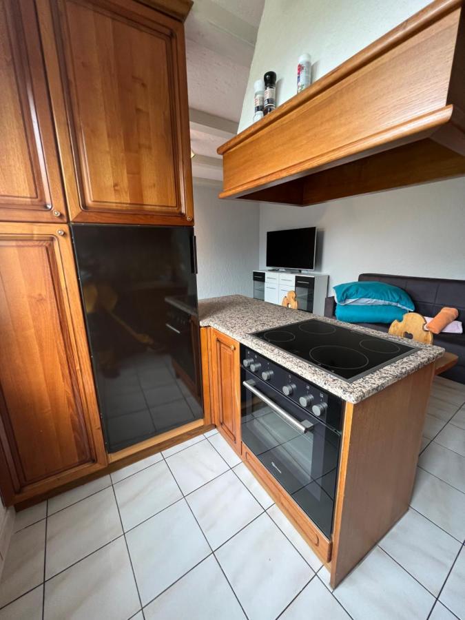 Tiny Apartment With Amazing View, Garden & Terras Schattdorf Dış mekan fotoğraf